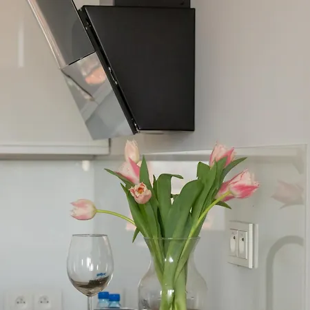 Apartment Raginisa Chic Szczecin
