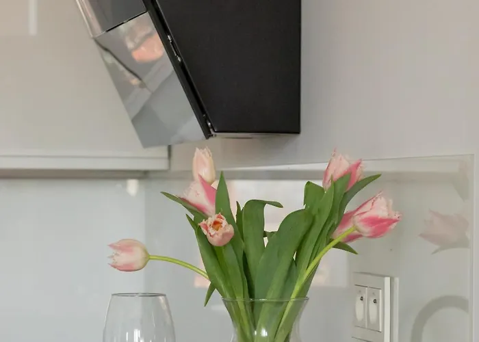 Daire Raginisa Chic By Bookinghost Szczecin