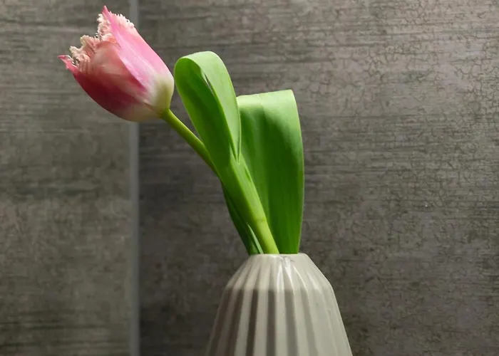 Raginisa Chic By Bookinghost *